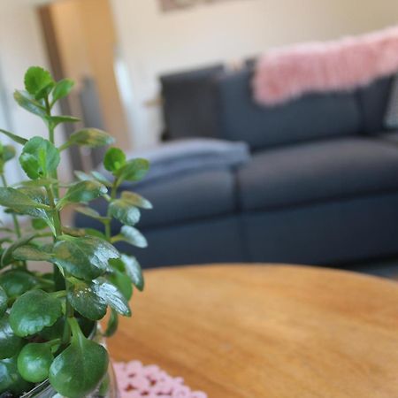 Ferienhaus Seehuis, Sauna, Angeln, Familienfreundlich Twist Buitenkant foto